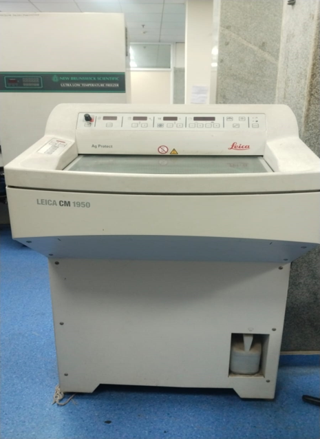Cytology Services